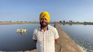 ਝੀਂਗਾ ਫਾਰਮ ਬਾਰੇ ਜਾਣਕਾਰੀ ਤੇ ਨਵੀਂ ਖੋਜ ਅਤੇ ਮਹੱਤਵਪੂਰਨ ਗੱਲਾਂ | shrimp farming in india | jhinga