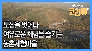 도심을 벗어나서 여유로운 체험을 즐기는 농촌체험마을 / YTN 라이프