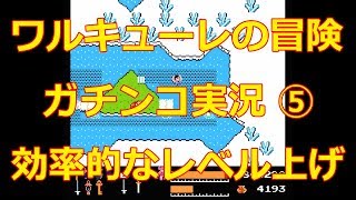 【ワルキューレの冒険】#5 怒涛のレベル上げ！ついにティアラをゲット！ ファミコン 攻略【実況】