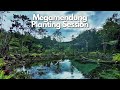 NATURAL POND MEGAMENDUNG PLANTING SESSION !!!