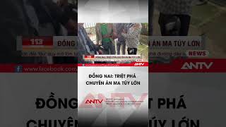 Phá đường dây ma túy tại TP.Long Khánh | ANTV #shorts