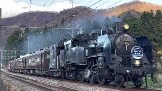 【東武】C11 207.C11 325+12.14系3B『SL大樹2.7.8号\u0026SL大樹ふたら72号』【12系展望車(オハテ12)連結】