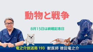 こんなことがあったなんて信じられない...動物と戦争を考えてみる/8月15日は終戦記念日【竜之介放送局193】