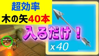 【祠に入るだけ】何回でも取れる木の矢「40本」入手方法　超効率　マクルキサの祠　タウンヒヨの祠　攻略　ゼルダの伝説　ティアーズ オブ ザ キングダム　ティアキン