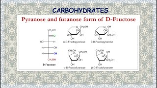 Pyranose and furanose form of D-Fructose