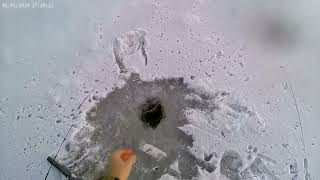 3 small perch ice fishing and a drone explosion