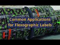 What is Flexographic Label Printing? | A Guide To Understanding Flexography for Business Labels