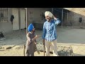 ਜੱਗੀ ਸਰਪੰਚ ।। part 29 ।। jaggi sarpanch ।। punjabi short movie 2024 @rajupumar