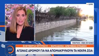 Φαρκαδόνα Τρικάλων: Σε κατάσταση σοκ από το μέγεθος της καταστροφής οι κάτοικοι | Ethnos