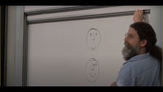 Summary: 17. Human Sexual Behavior III & Aggression I | Dr. Robert Sapolsky | Stanford