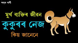 মুৰ্খ ব্যক্তিৰ জীৱন কুকুৰৰ নেজ | BEST ASSAMESE MOTIVATIONAL VIDEO | MOTIVATOR NIRANJAN