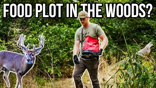 Easiest Way to Create Food Plots in the Woods for Deer