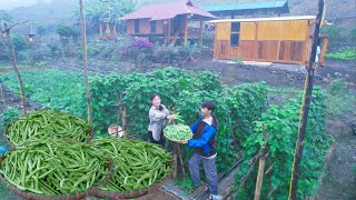 LIVING Sustainably Off The Grid! Harvesting Beans For Sale, Sustainable Roofing, Garden, Aquaculture