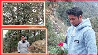 हिमालयी क्षेत्रों में अभी से खिलने लगे बुरांश: अशुभ संकेत | Buransh Himalayan Uttrakhand |