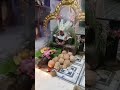 Sankashta hara Chaturthi pooja