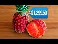 Most EXPENSIVE Fruits In The World!