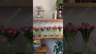 Viral Flower Hack Experiment 🌷 #tulip #timelapse #experiment