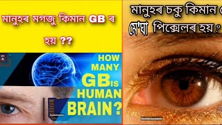 মানুহৰ মগজু কিমান GBৰ হয়/মানুহৰ চকু কিমান মেগা পিক্সেলৰ হয়/Top 10  facts in Assamese