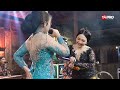 syahiba saufa ft. niken salindry rasah nyangkem dangdut campursari version