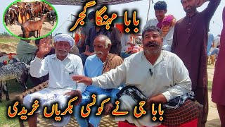 Baba Mehnga Gujjar//CH Ashrif Gujjar//Koun Se Bakriyan Khrediye #babamehngagujjar #ashrifgujjar