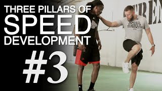 3 Pillars of Speed Development: #3 Top Speed Mechanics