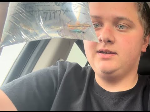 New Fish Youtube