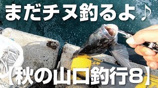 さらに簡単ぶっ込み釣りでチヌ釣るんじゃけぇ！【秋の山口釣行8】