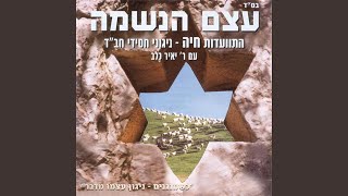 Nigun R' Eliyahu Althoiz (Live)