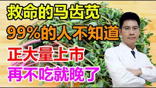 救命的马齿苋，99%的人不知道的作用！消毒杀菌、降血糖，再不吃就晚了~丨李医生谈健康【中医养生】