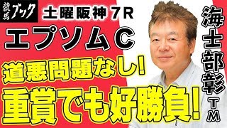 【競馬ブック】海士部彰ＴＭの推奨馬（エプソムカップ・土曜阪神７Ｒ 2019年6月8日）