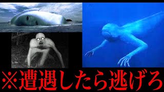 【衝撃】実在すると噂の未確認生物がヤバすぎてツッコミどころ満載だったwwwww#4【UMA】【都市伝説】【なろ屋】【ツッコミ】