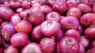 ఉల్లిపాయ వలన కలిగే ఉపయోగాలు || Health Benefits of ONIONS