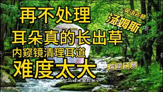 Ear cleaning采耳掏耳朵耳道清理asmr