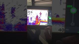 My Basic 2d sonar settings on a Lowrance unit.