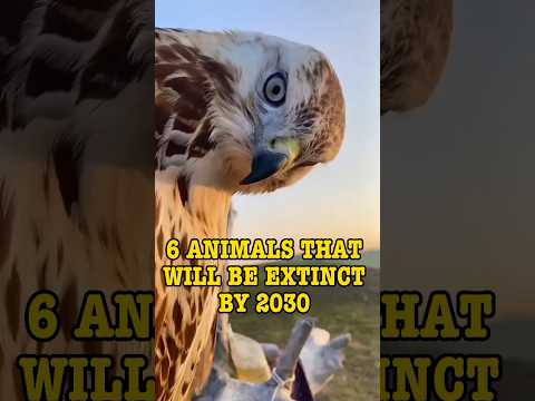 Which animals will be extinct by 2030?