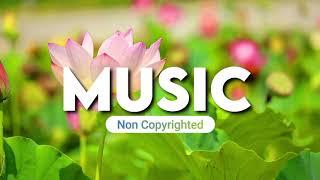 ✅ Royalty Free Happy Background Music for Vlogs No Copyright Music NCS