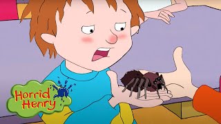 Caught in a Web | Horrid Henry | Cartoons for Children