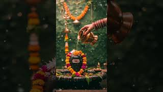 Kashi Vishwanath Siva mantra #kashi #shivshankar #viralvideo