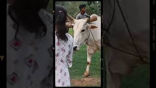 Jharkhand village life//India