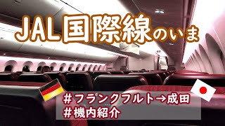 【ドイツから帰国#5】JAL国際線のいま、フランクフルトから成田空港へ向かう空旅 | 入国前に渡される書類は？｜機内紹介｜JAL搭乗｜JAL国際線エコノミー｜離陸｜JAL国際線機内食