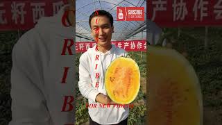 Farm Fresh Ninja Fruit Tik Tok China EP 10