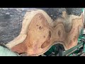 【スゴイ杢でた！アリも出た！】ケヤキ原木を製材【木の店さんもく】japanese zelkova sawing superb figures ant colonies eng. subbed