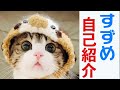 【自己紹介】猫のすずめくん (性格、誕生日、好きなもの etc...)【捨て猫】vol.65