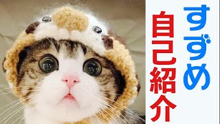 【自己紹介】猫のすずめくん (性格、誕生日、好きなもの etc...)【捨て猫】vol.65