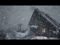 winter snowstorm at mountain village. heavy blizzard u0026 snow wind howling