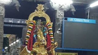 Srivilliputhur Sri Andal Nachiyar Temple Sri Vadabhatrasayan Temple.  Pagal pattu Utsavam 31/12/2024