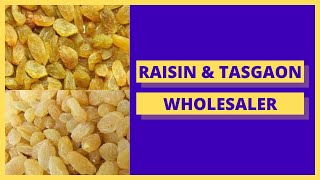 Best Raisin and Tasgaon kishmish | Wholesaler and Supplier