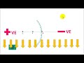 குவியாடி விளக்கமும் கதிர்படமும் convex mirror well explained in tamil