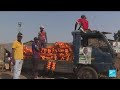 Zimbabweans go to the polls in closely watched presidential and legislative elections • FRANCE 24