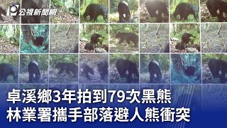 卓溪鄉3年拍到79次黑熊 林業署攜手部落避人熊衝突｜20240412 公視晚間新聞